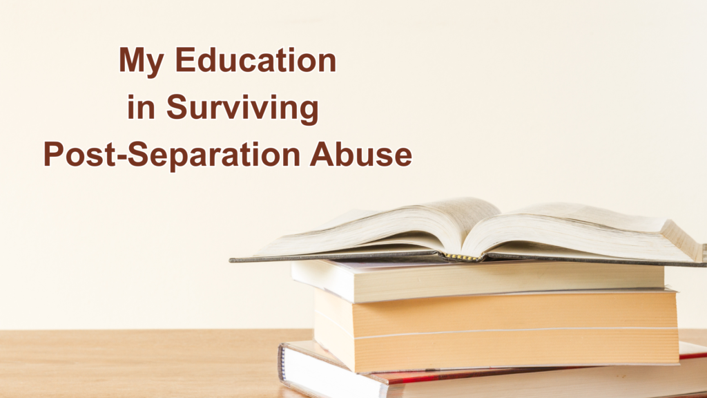 The Books That Gave Me the Words: My Education in Surviving Post-Separation Abuse. Books on a table 